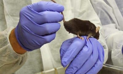 EFE/Toni Garriga/Archivo