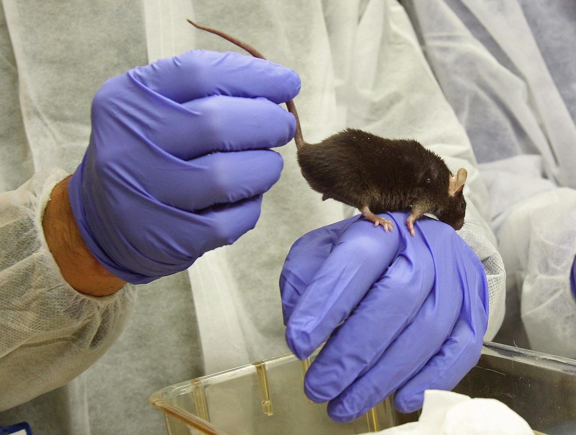 EFE/Toni Garriga/Archivo