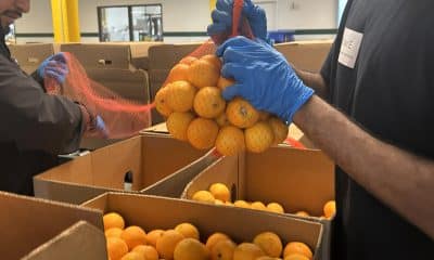 Personas organizan alimentos en las instalaciones del Banco de Comida Regional este lunes, en Los Ángeles (Estados Unidos). EFE/ Mikaela Viqueira