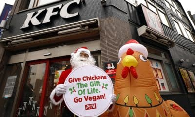 TOKYO (Japan), 03/12/2025.- Wearing a Santa Claus costume, an animal rights activist of People for the Ethical Treatment of Animals (PETA) stands next to an inflatable chicken in front of a KFC fast food restaurant in Tokyo, Japan, 03 December 2025. In a statement, PETA said it is protesting against cruelty on chickens reported at a KFC supplier in Japan. (Protestas, Japón, Tokio) EFE/EPA/FRANCK ROBICHON