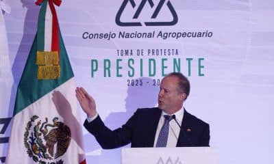 El presidente del Consejo Nacional Agropecuario (CNA), Jorge Esteve, habla durante un evento protocolario en Ciudad de México (México).  Imagen de archivo. EFE/ Sáshenka Gutiérrez