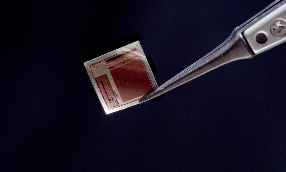 Imagen del implante BISC que tiene aproximadamente el mismo grosor que un cabello humano. Crédito: Columbia Engineering