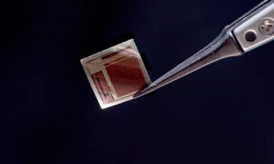 Imagen del implante BISC que tiene aproximadamente el mismo grosor que un cabello humano. Crédito: Columbia Engineering