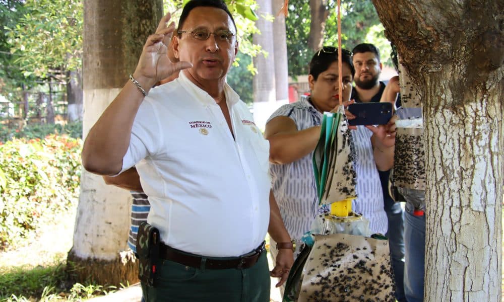 El jefe del Centro de Apoyo para el Desarrollo Rural en Tapachula, Luis Citalán Chavarría, habla durante una entrevista con EFE este martes, en Tapachula (México). EFE/Juan Manuel Blanco