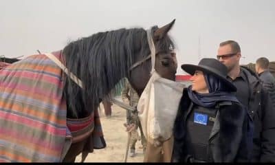 La imagen de los funcionarios internacionales en Afganistán compartiendo tribuna con los talibanes para observar la brutalidad del Buzkashi, la competencia por arrastrar un cadáver decapitado de una cabra, ha desvelado esta semana una nueva imagen de la normalización de régimen fundamentalista afgano.-EFE/Cuenta de X de Ahmadullah Wasiq, Director de la Dirección General de Juegos Olímpicos, Educación Física y Deportes de Afganistán. Desde el palco de honor del estadio de Kabul, Boskovic Pohar observó el desarrollo de este deporte ancestral junto al ministro de Exteriores del gobierno interino, Amir Khan Muttaqi, y embajadores de potencias regionales clave como Turquía, Catar, Azerbaiyán e Indonesia***SOLO USO EDITORIAL/SOLO DISPONIBLE PARA ILUSTRAR LA NOTICIA QUE ACOMPAÑA (CRÉDITO OBLIGATORIO)***