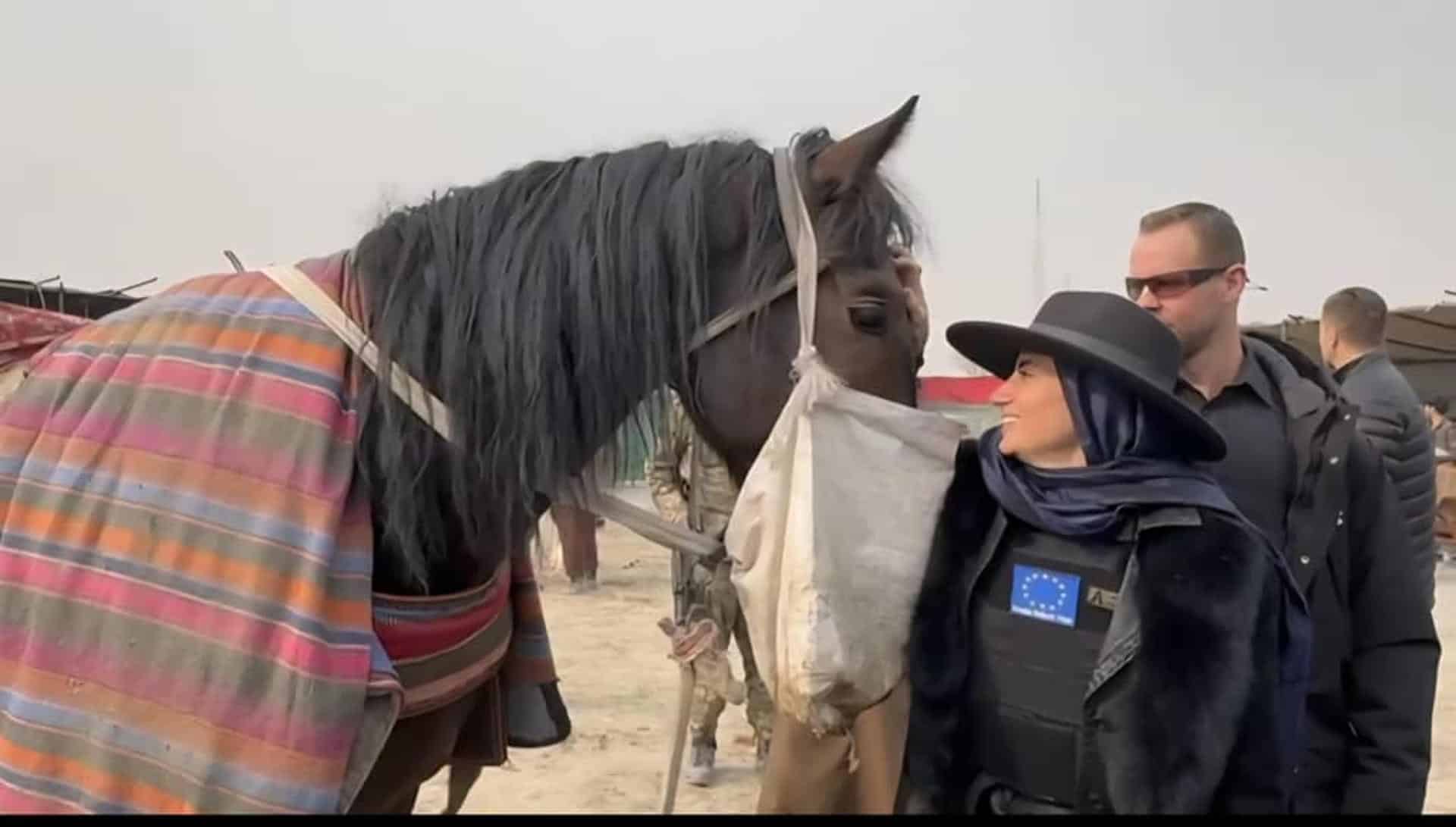 La imagen de los funcionarios internacionales en Afganistán compartiendo tribuna con los talibanes para observar la brutalidad del Buzkashi, la competencia por arrastrar un cadáver decapitado de una cabra, ha desvelado esta semana una nueva imagen de la normalización de régimen fundamentalista afgano.-EFE/Cuenta de X de Ahmadullah Wasiq, Director de la Dirección General de Juegos Olímpicos, Educación Física y Deportes de Afganistán. Desde el palco de honor del estadio de Kabul, Boskovic Pohar observó el desarrollo de este deporte ancestral junto al ministro de Exteriores del gobierno interino, Amir Khan Muttaqi, y embajadores de potencias regionales clave como Turquía, Catar, Azerbaiyán e Indonesia***SOLO USO EDITORIAL/SOLO DISPONIBLE PARA ILUSTRAR LA NOTICIA QUE ACOMPAÑA (CRÉDITO OBLIGATORIO)***