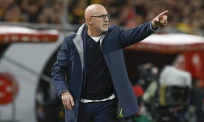 El seleccionador de España, Luis de la Fuente. EFE/Julio Muñoz