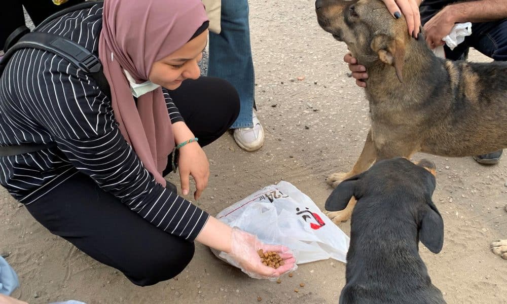 EFE/ Carles Grau Sivera/Archivo