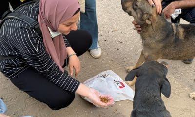 EFE/ Carles Grau Sivera/Archivo