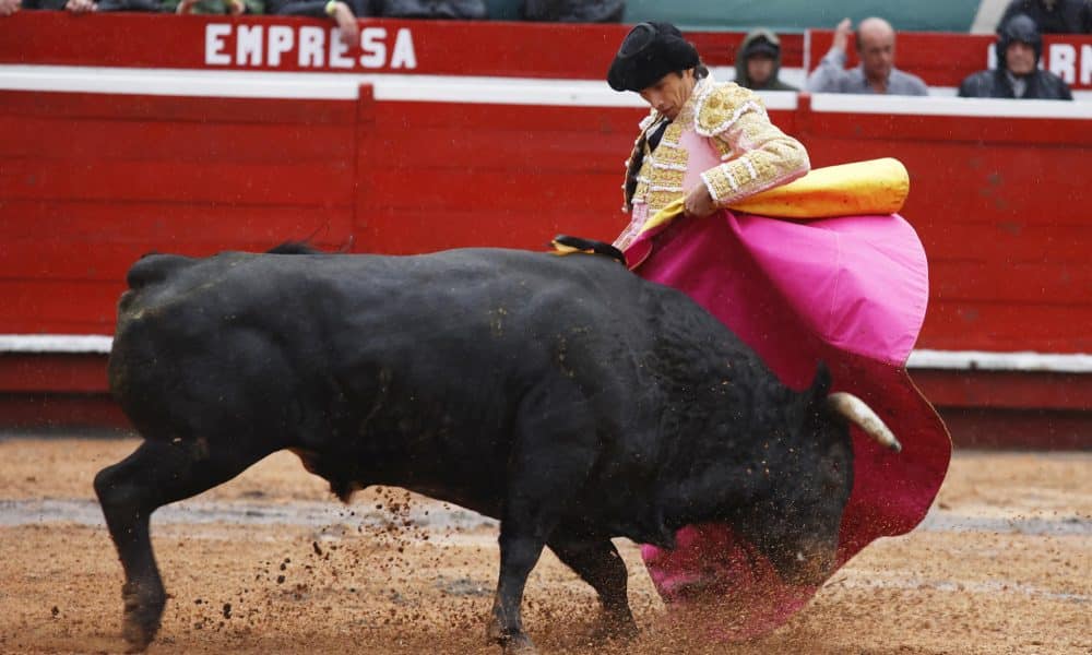 El torero francés Sebastián Castella lidia al toro Luchador, de 488 kg, de la ganadería Ernesto Gutiérrez en una corrida en la plaza de toros de Manizales (Colombia). EFE/ Jhon Jairo Bonilla
