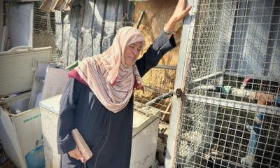 Una mujer llora la pérdida de un ser querido en un campo de desplazados de Gaza. EFE/ Str