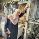 Una mujer llora la pérdida de un ser querido en un campo de desplazados de Gaza. EFE/ Str