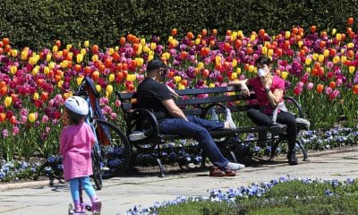 Imagen de archivo. EFE/EPA/Peter Foley