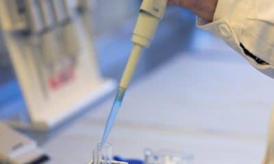 Archivo/EFE/Cati Cladera