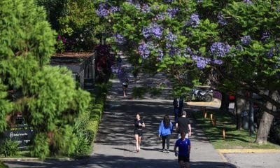 Personas hacen ejercicio en una zona de parque, en una imagen de archivo. EFE/ Juan Ignacio Roncoroni