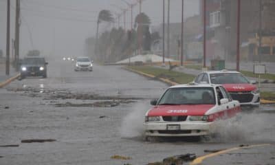 Fotografía de archivo de los fuertes vientos y lluvia en el municipio de Coatzacoalcos en el estado de Veracruz (México). EFE/ Ángel Hernández