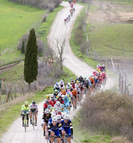 El pelotón en la Strade Bianche. EFE/EPA/CLAUDIO PERI/Archivo