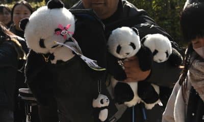 TOKYO (Japan), 27/01/2026.- Personas se reúnen para despedir a pandas chinos en Tokio, Japón. (Japón, Tokio) EFE/EPA/SOICHIRO KORIYAMA