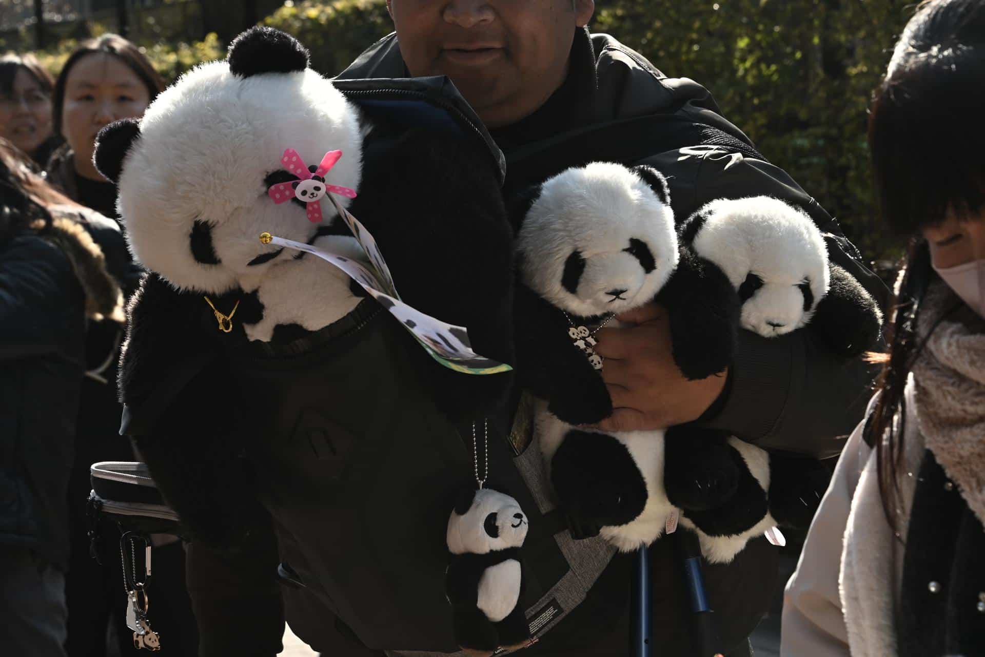 TOKYO (Japan), 27/01/2026.- Personas se reúnen para despedir a pandas chinos en Tokio, Japón. (Japón, Tokio) EFE/EPA/SOICHIRO KORIYAMA