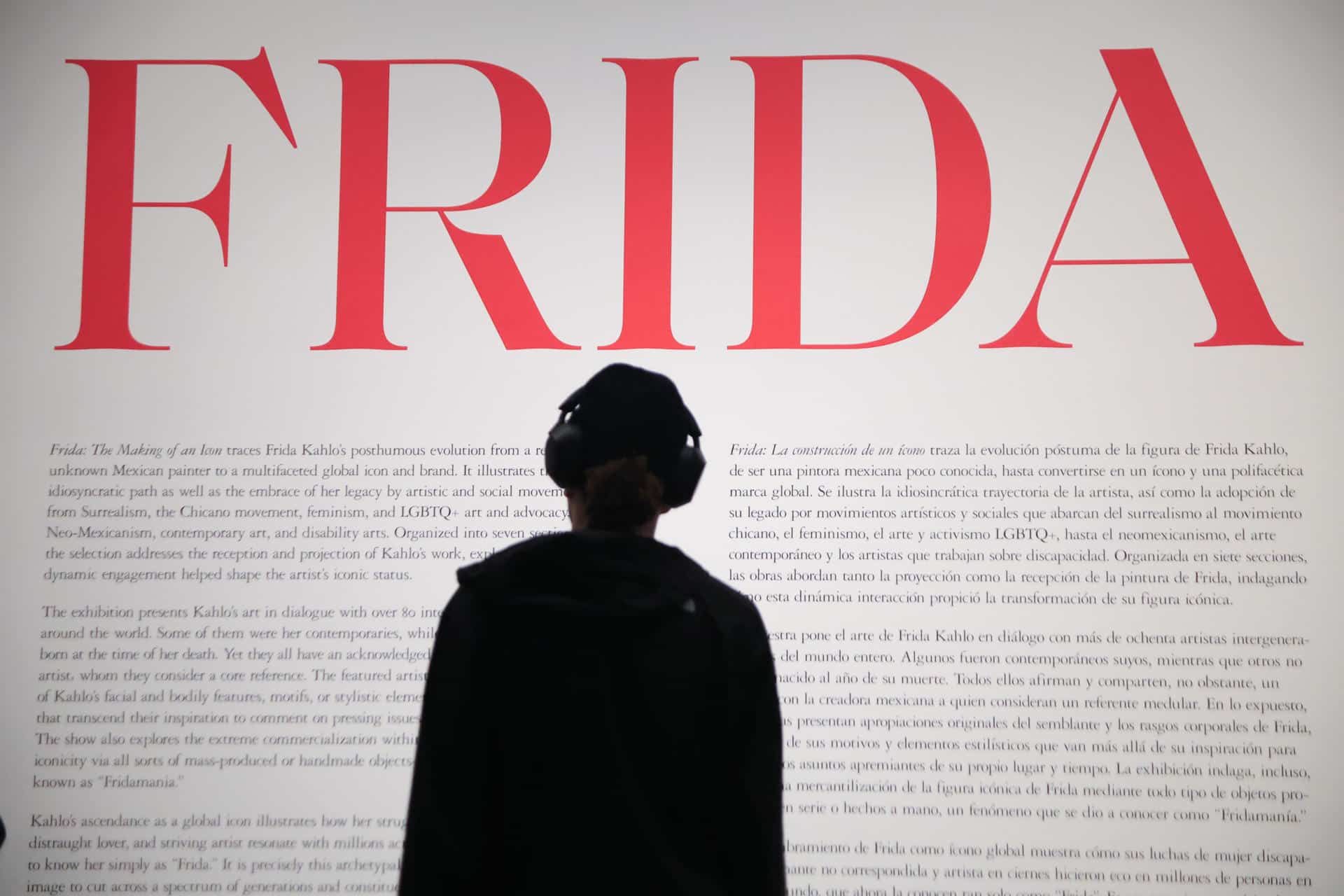 Una persona observa la exposición Frida: The Making of an Icon este miércoles, en el Museo de Bellas Artes en Houston, Texas (Estados Unidos). EFE/ Carlos Ramírez