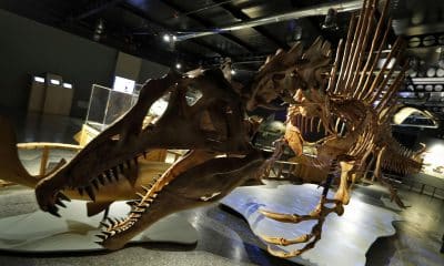 Archivo/EFE/Manuel Bruque.