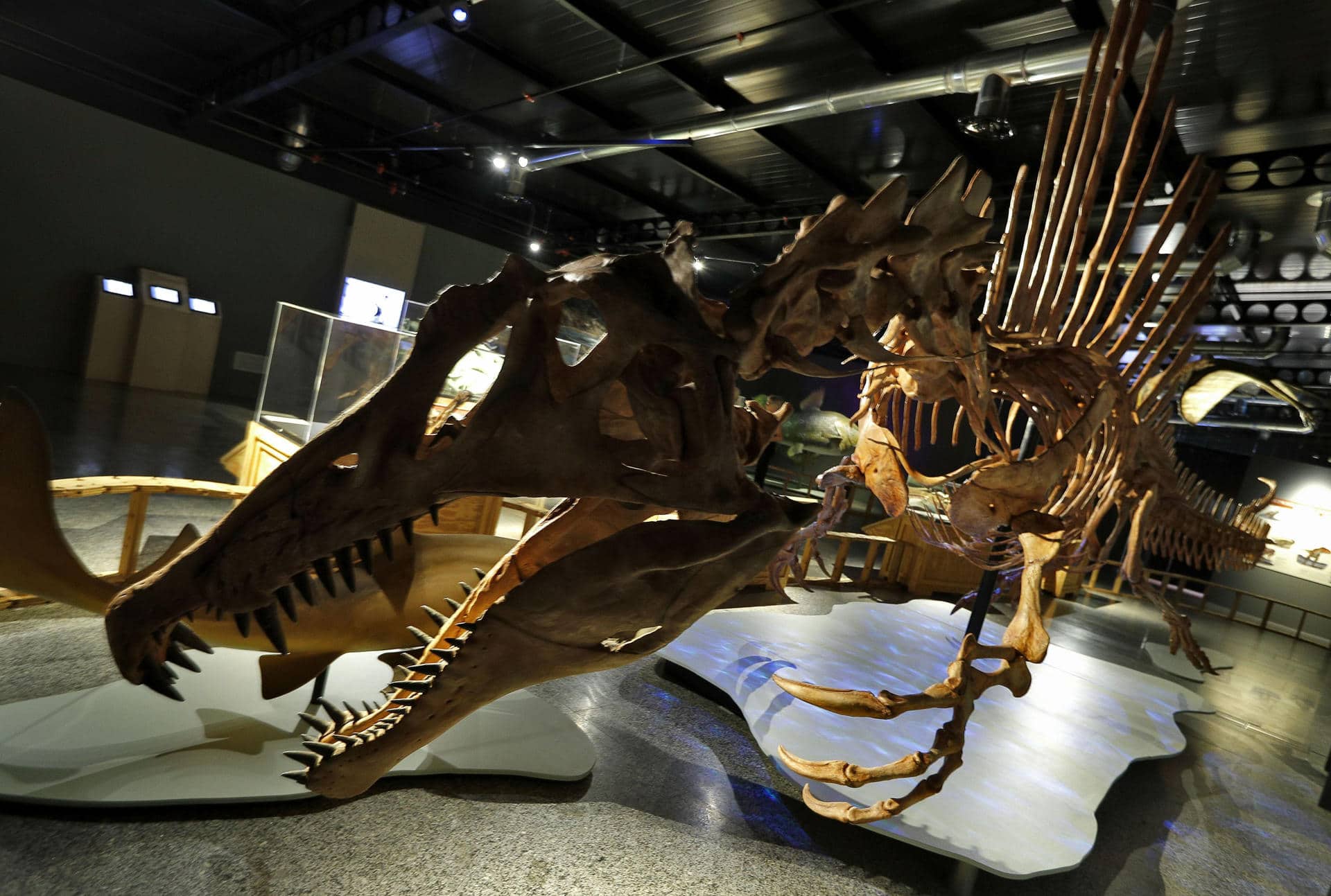 Archivo/EFE/Manuel Bruque.