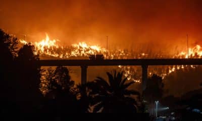 Fotografía del incendio forestal en la madrugada del domingo, en Penco (Chile). EFE/ Pablo Hidalgo