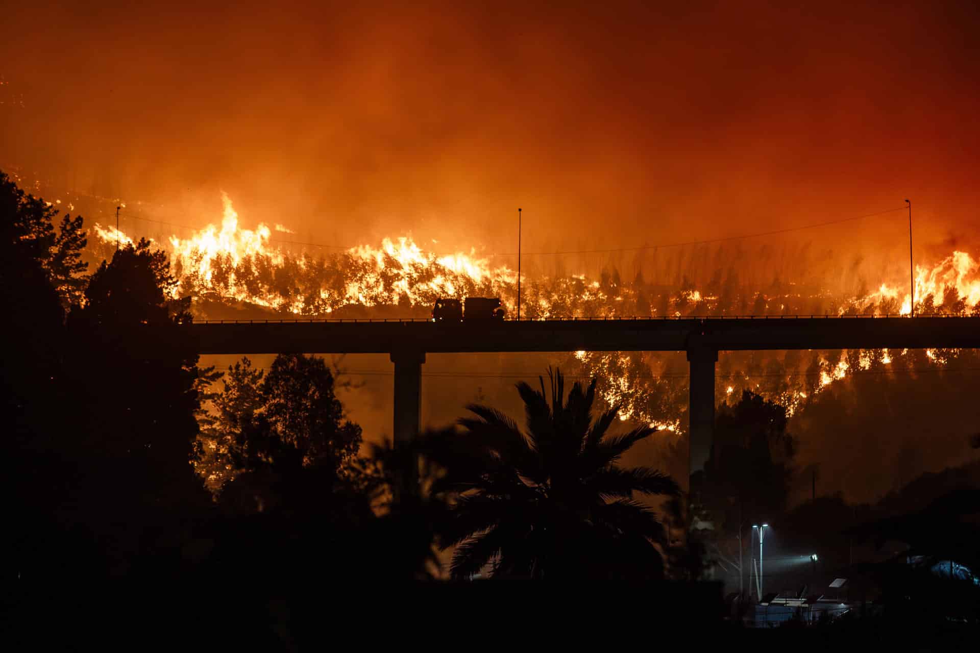 Fotografía del incendio forestal en la madrugada del domingo, en Penco (Chile). EFE/ Pablo Hidalgo