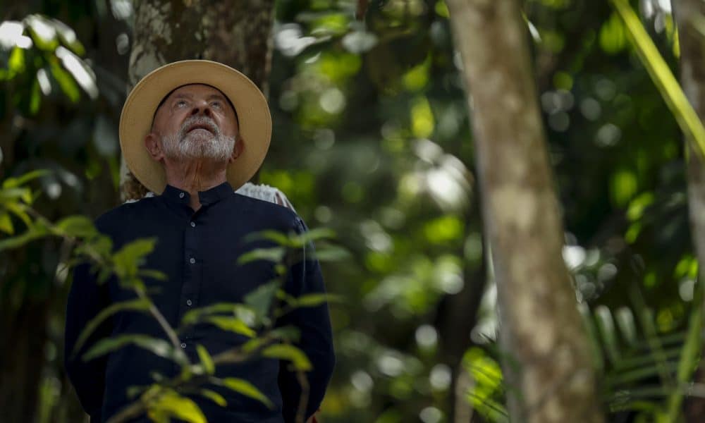 Fotografía de archivo que muestra al presidente de Brasil, Luiz Inácio Lula da Silva, recorriendo el cultivo de Açaí durante su visita a la comunidad Quilombola de Itacoã-Miri en Acará, estado de Pará (Brasil). EFE/ Sebastiao Moreira/ ARCHIVO