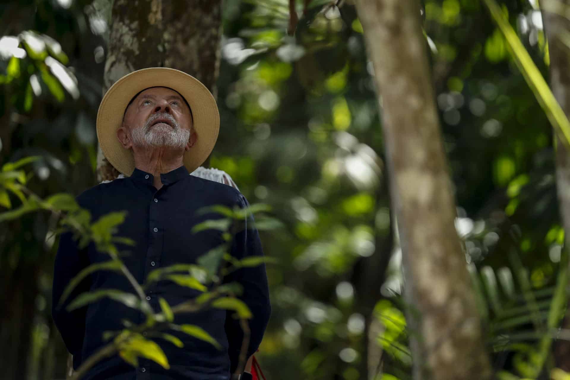 Fotografía de archivo que muestra al presidente de Brasil, Luiz Inácio Lula da Silva, recorriendo el cultivo de Açaí durante su visita a la comunidad Quilombola de Itacoã-Miri en Acará, estado de Pará (Brasil). EFE/ Sebastiao Moreira/ ARCHIVO