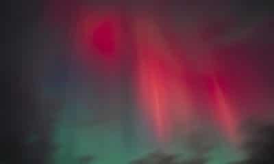 Fotografía de archivo. EFE/EPA/Mads Claus Rasmussen