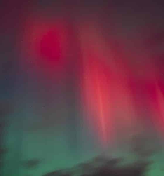 Fotografía de archivo. EFE/EPA/Mads Claus Rasmussen