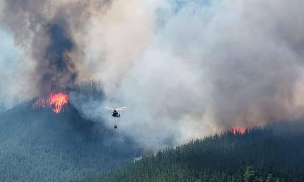 Fotografía tomada de la cuenta oficial de la red social X @NachoTorresCH del Gobernador de la provincia de Chubut, Ignacio Torres, que muestra una zona afectada por un incendio este martes, en Puerto Patriada (Argentina). EFE/ @nachotorresch