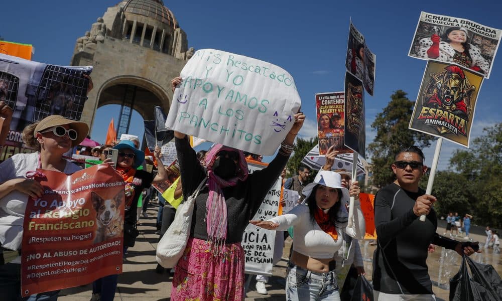 Personas sostienen carteles durante una protesta este domingo, en Ciudad de México (México). EFE/ Isaac Esquivel