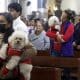Personas llevan a sus mascotas a bendecir en el Día de San Antonio Abad este sábado, en la ciudad de Puebla (México). EFE/Hilda Ríos