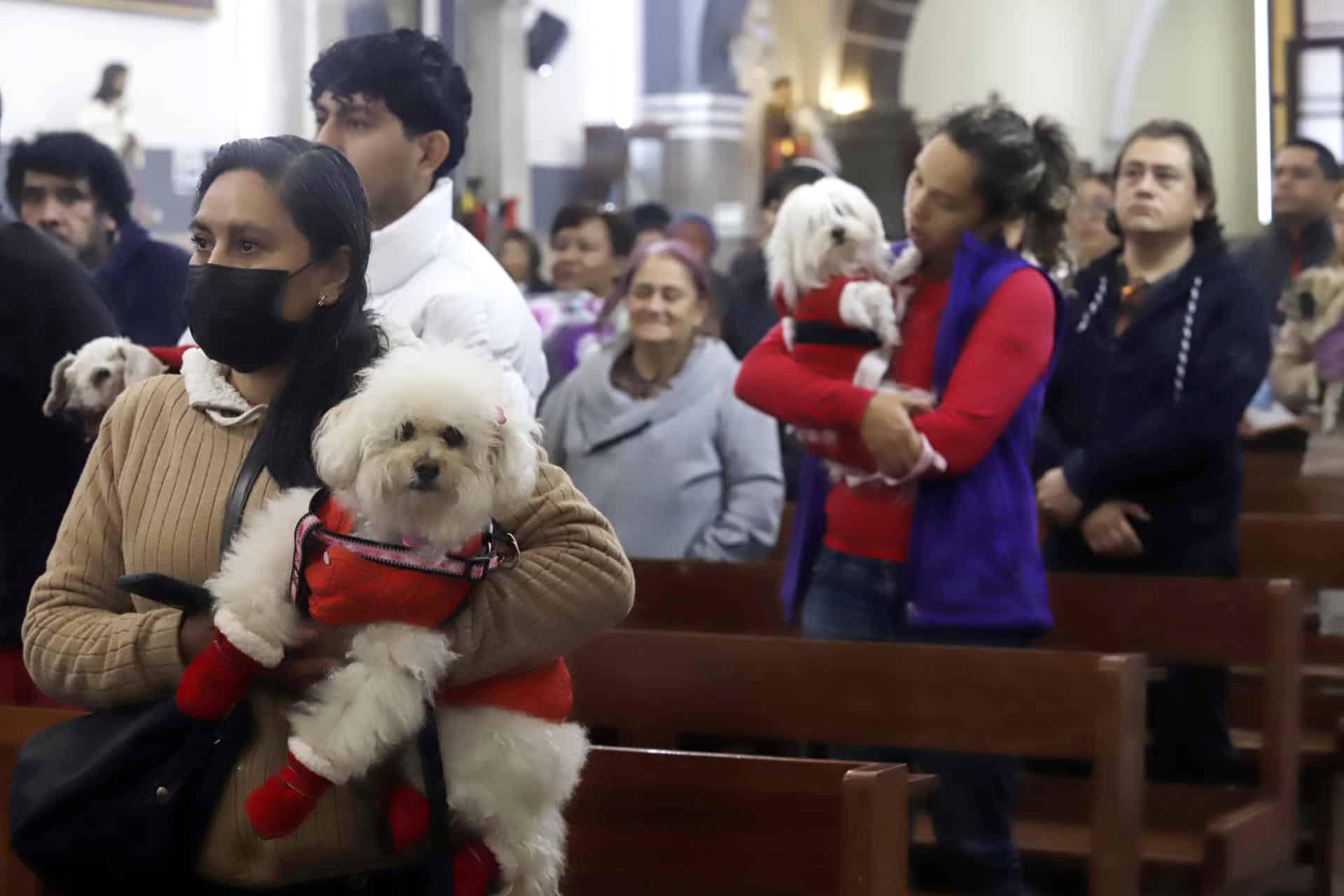 Personas llevan a sus mascotas a bendecir en el Día de San Antonio Abad este sábado, en la ciudad de Puebla (México). EFE/Hilda Ríos