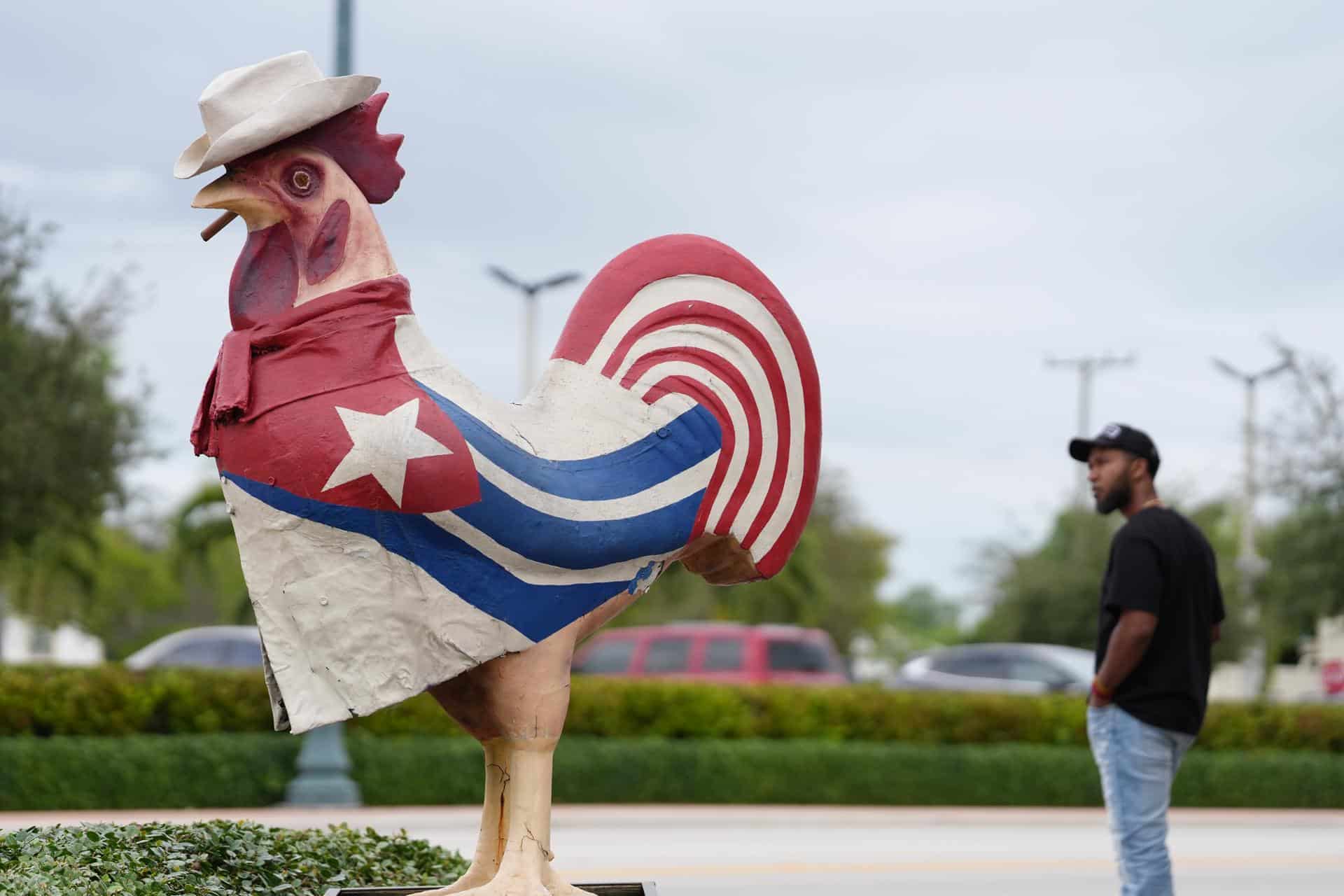 Una persona mira el icónico gallo vestido con los colores de la bandera de Cuba este miércoles, en el barrio de la pequeña Habana en Miami, Florida. (EE.UU.). EFE/ Alberto Boal