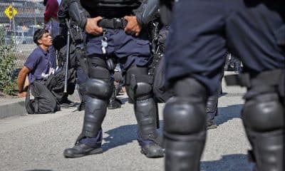 Casi 380.000 inmigrantes arrestados desde enero 2025