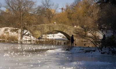 Fotografía que muestra el lago The Pond del Central Park congelado en Nueva York (Estados Unidos). EFE/Ángel Colmenares.