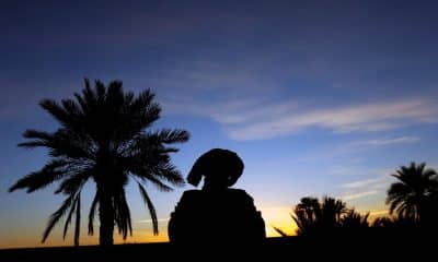 En la imagen de archivo, un bereber mira la puesta de sol en el oasis del desierto del Sáhara, cerca de la ciudad de Erfoud, en Marruecos. EFE/ Vassil Donev