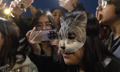 Una adolescente que se siente gata este sábado cuando centenares de jóvenes se han congregado a la espectativa de la concentración de therians que estaba prevista en Barcelona. EFE/ Marta Pérez