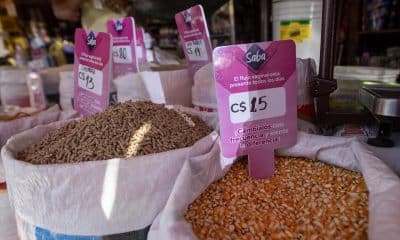Fotografía que muestra bolsas de granos en una tienda, este 5 de febrero de 2026, en Managua (Nicaragua). EFE/ STR
