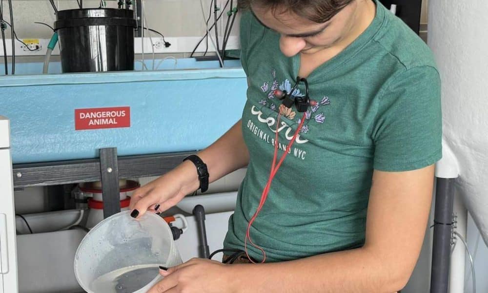 Fotografía cedida por la estudiante de maestría Casey Hudspeth del Instituto de Ciencias Agrícolas y Alimentarias (IFAS) de la Universidad de Florida (UF) de ella haciendo pruebas en un laboratorio en Apollo Beach (Estados Unidos). EFE/Álbum C. Hudspeth /SOLO USO EDITORIAL /NO VENTAS /SOLO DISPONIBLE PARA ILUSTRAR LA NOTICIA QUE ACOMPAÑA /CRÉDITO OBLIGATORIO