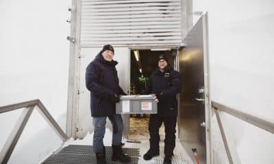 Cajas con muestras de semillas de olivo entran por primera vez en el banco de semillas de Svalbard (Noruega), el mayor del mundo. EFE/ Grid Arendal -SÓLO USO EDITORIAL/SOLO USO PERMITIDO PARA ILUSTRAR LA NOTICIA QUE APARECE EN EL PIE DE FOTO (CRÉDITO OBLIGATORIO)