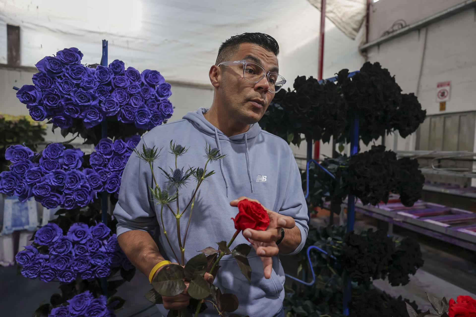 Fotografía del 3 de febrero de 2026 que muestra al gerente de Operaciones Postcosecha de la finca Mystic Flowers, Jhon Jiménez, hablando en una entrevista con EFE en Cayambe (Ecuador). EFE/ José Jácome