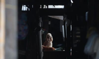 Un perro espera en el interior de una casa , en una imagen de archivo. EFE/ Gabriel Rodríguez