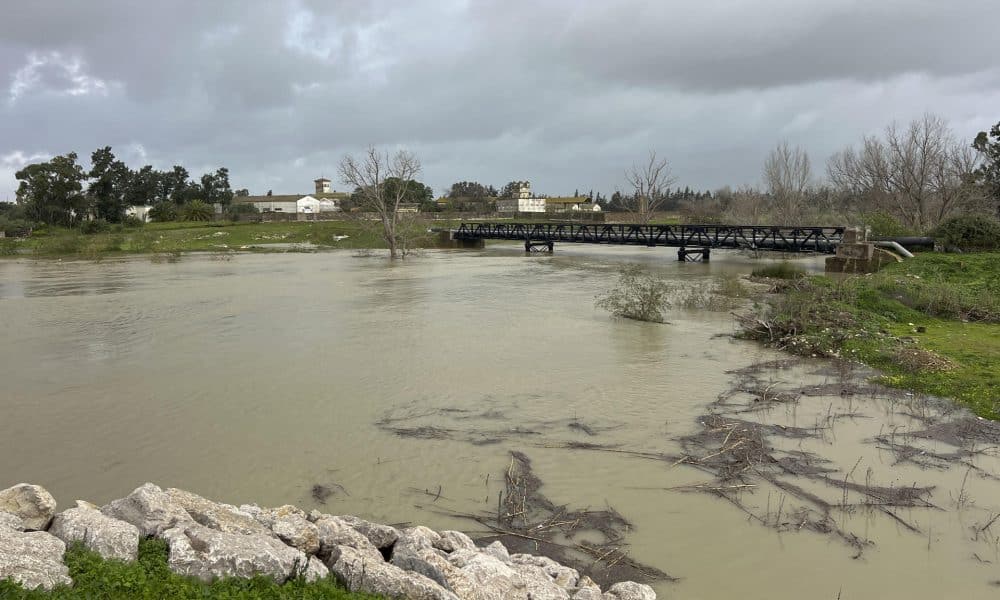 Vista de un paraje inundado en las proximidades de Alcazarquivir, a 160 kilómetros al norte de Rabat, en una imagen de la semana pasada. EFE/ Mohamed Siali