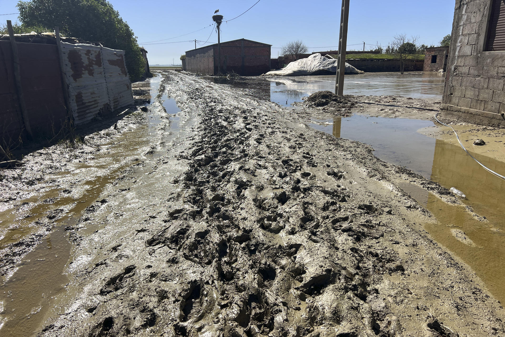 Casi un mes después de las inundaciones que sacudieron el noroeste de Marruecos, cientos de familias de la provincia marroquí de Kenitra resisten en un campamento a 55 kilómetros de Rabat en pleno mes de ayuno del ramadán porque sus hogares siguen anegados en lodo. En la imagen, aldea de Bahiet, unas de las poblaciones damnificadas y a donde cientos de desplazados no pueden volver.EFE/ Mohamed Siali