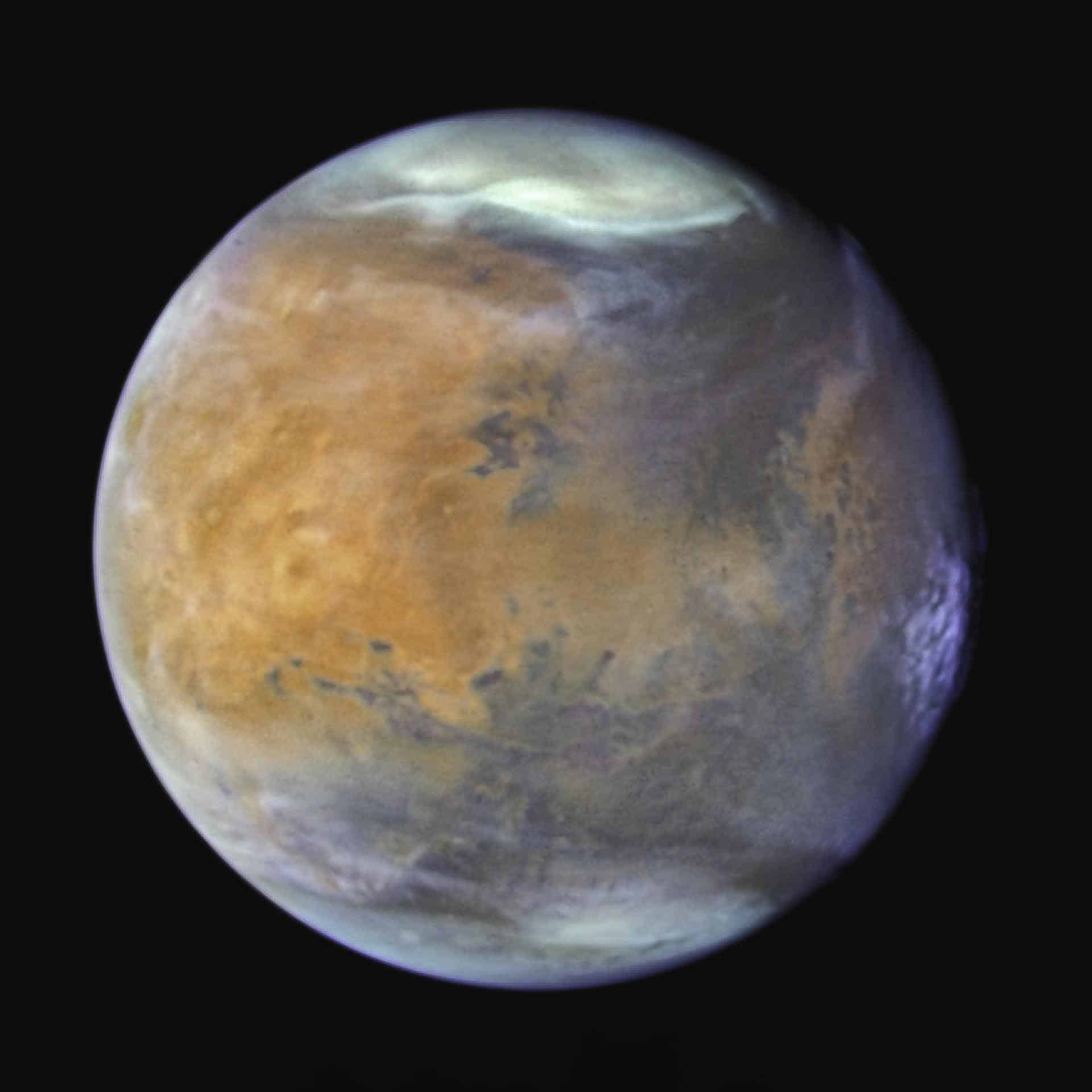 Combinación de imágenes de Marte tomadas por el telescopio espacial Hubble en 2024. Las finas nubes de hielo de agua, visibles en luz ultravioleta, dan al Planeta Rojo un aspecto helado. El gélido casquete polar norte estaba experimentando el comienzo de la primavera marciana. Fotografía facilitada por el Instituto de Astrofísica de Andalucía/ NASA, ESA, STScI