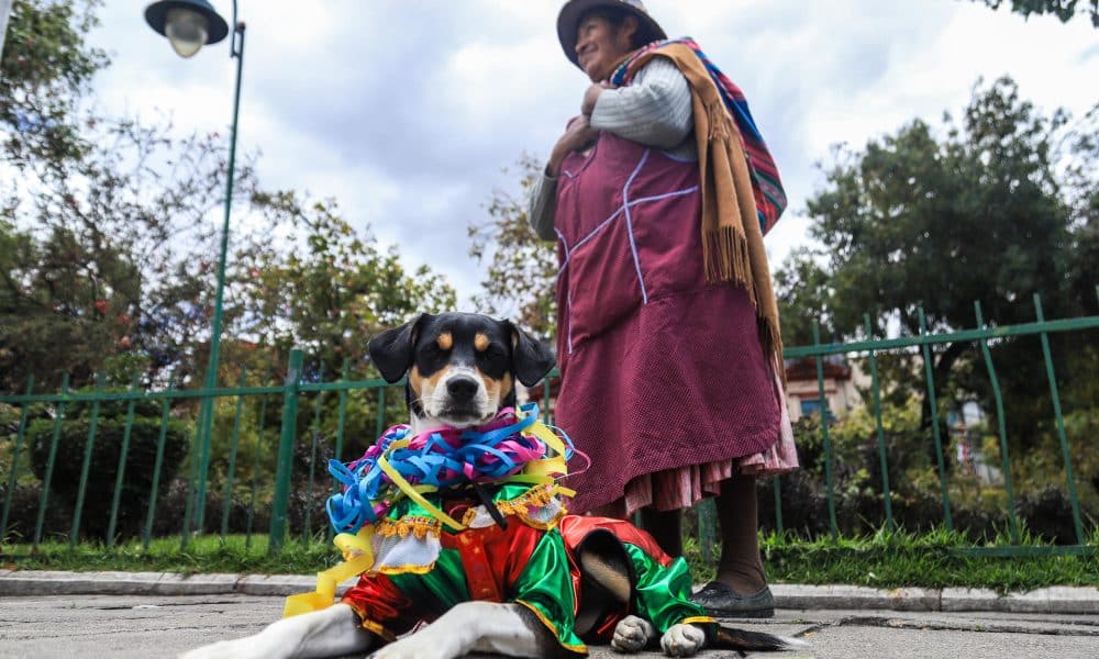 Una mujer sostiene a su perro disfrazado de 'Pepino' durante un desfile de mascotas en La Paz (Bolivia). EFE/ Gabriel Márquez